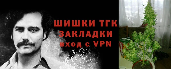 молекула духа Армянск