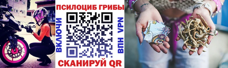 Галлюциногенные грибы мухоморы  купить наркоту  Палласовка 